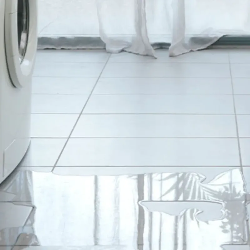 Appliance Leak Cleanup in Spring, TX