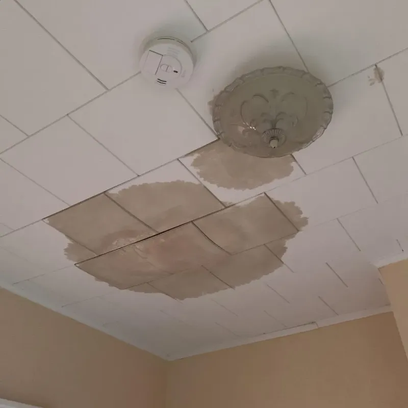 Ceiling Water Damage Repair in Spring, TX