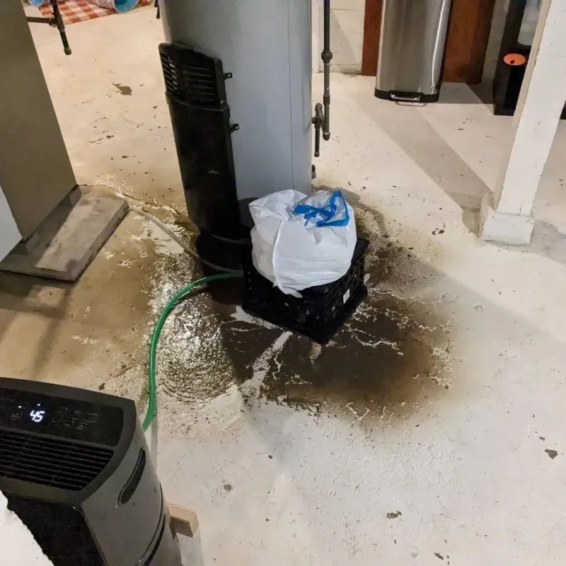 Sewage Backup Cleanup Service in Spring, TX
